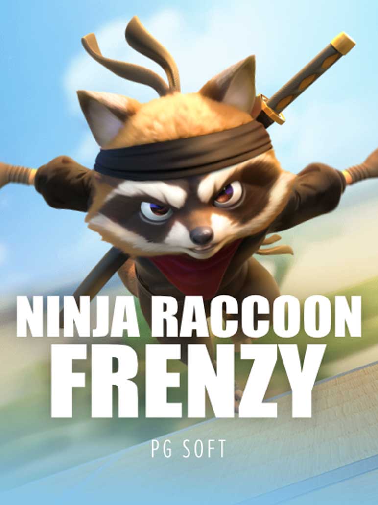 Ninja Raccoon Frenzy